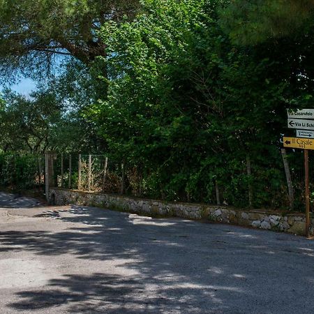 Hotel Il Casale Półwysep Sorrentyński Zewnętrze zdjęcie