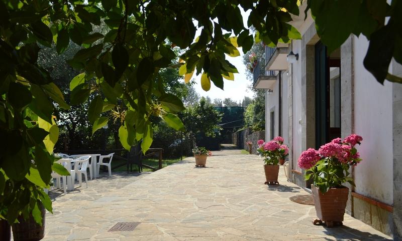 Hotel Il Casale Półwysep Sorrentyński Zewnętrze zdjęcie