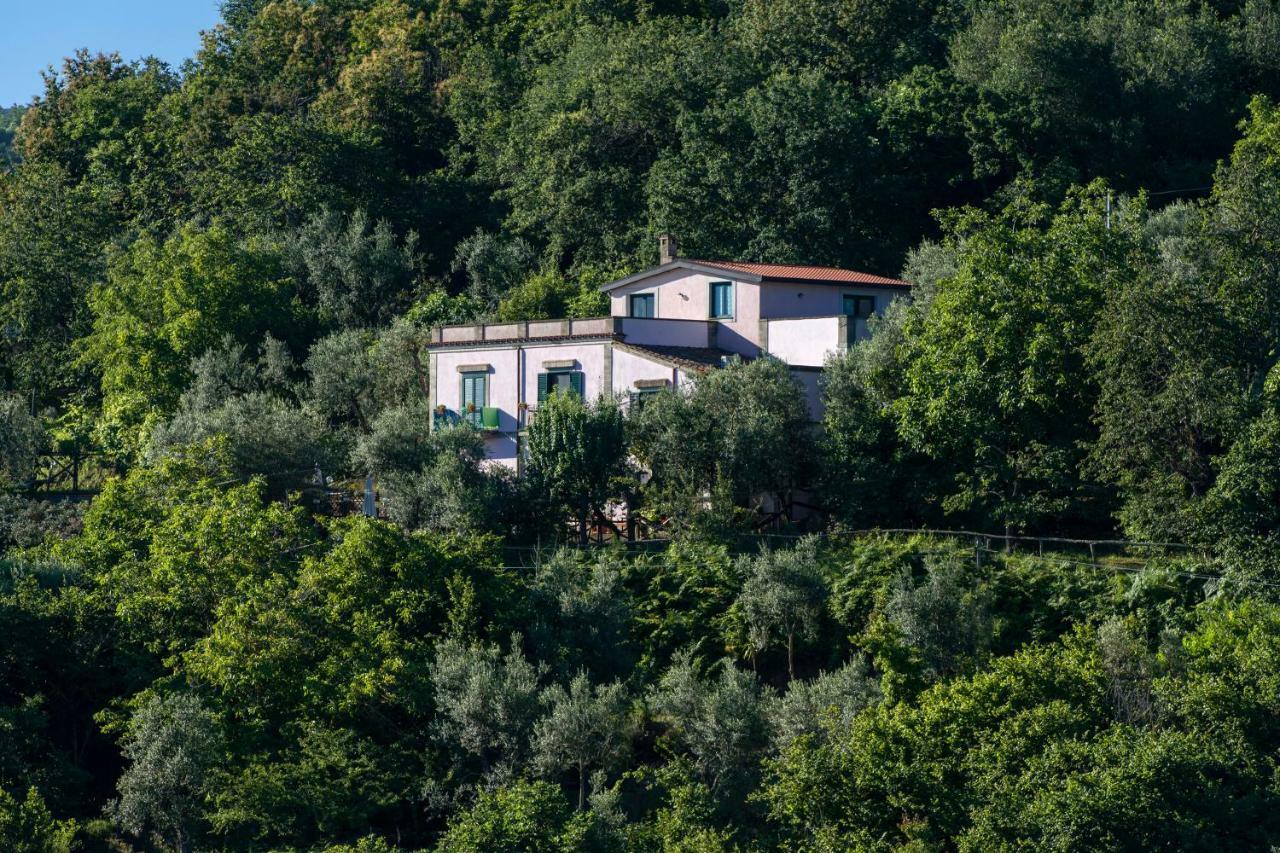 Hotel Il Casale Półwysep Sorrentyński Zewnętrze zdjęcie